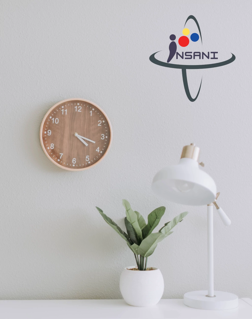 About Insani Solutions